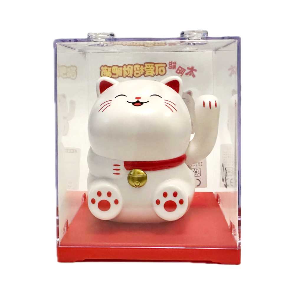 CAT20